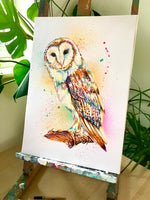 A3 Barn Owl Paint Sketch #1