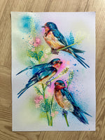 A3 Swallow Paint Sketch #1