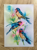 A3 Swallow Paint Sketch #1