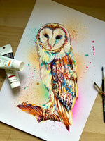 A3 Barn Owl Paint Sketch #1