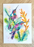 A3 Hummingbird Paint Sketch #1
