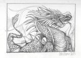 Dragon Commission - 50% final payment