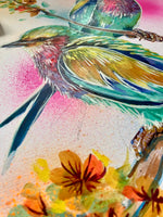 A3 Indian Roller Paint Sketch #1