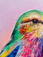 A3 Indian Roller Paint Sketch #1