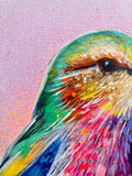 A3 Indian Roller Paint Sketch #1