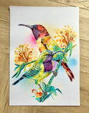 A3 Sunbird Paint Sketch #1
