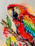 A3 Scarlet Macaw Paint Sketch #1