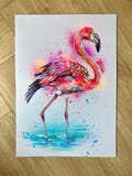 A3 Flamingo Paint Sketch #1