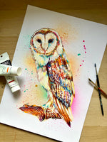 A3 Barn Owl Paint Sketch #1