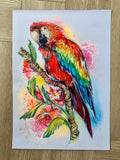 A3 Scarlet Macaw Paint Sketch #1