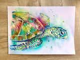 A3 Turtle Paint Sketch #1