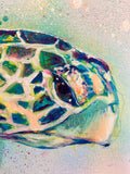 A3 Turtle Paint Sketch #1