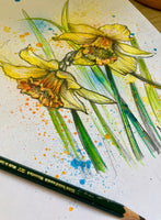 Daffodils #2