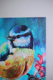 Garden Bird collection- Signed set of 5 individual 16 x 16 cm prints