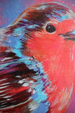 Garden Bird collection- Signed set of 5 individual 16 x 16 cm prints