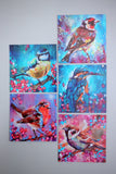 Garden Bird collection- Signed set of 5 individual 16 x 16 cm prints