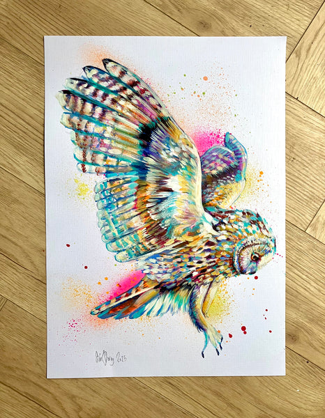 A3 Owl Paint Sketch #1