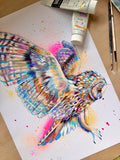 A3 Owl Paint Sketch #1