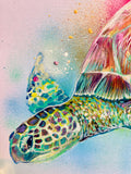 A3 Turtle Paint Sketch #2
