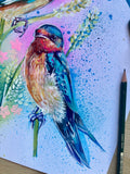 A3 Swallow Paint Sketch #1