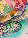 A3 Turtle Paint Sketch #1