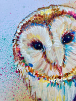 A3 Barn Owl Paint Sketch #1