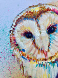 A3 Barn Owl Paint Sketch #1