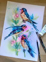 A3 Swallow Paint Sketch #1
