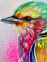 A3 Indian Roller Paint Sketch #1