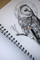 Owl sketch #1