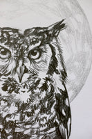 Eagle Owl Sketch #1