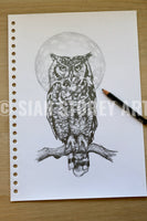 Eagle Owl Sketch #1