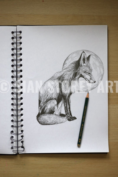 Fox sketch #1