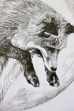 Fox Sketch #2