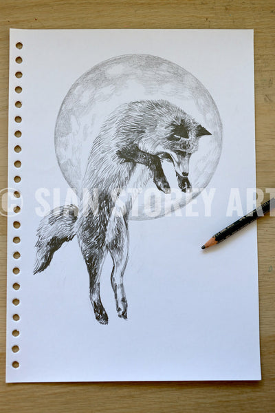 Fox Sketch #2