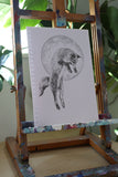 Fox Sketch #2