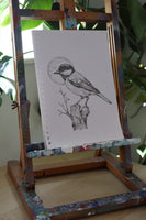 Great Tit sketch #1
