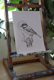 Great Tit sketch #1