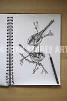 Long-tailed tit sketch #1