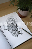 Owl sketch #1