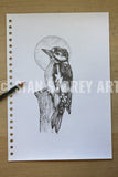 Woodpecker sketch #1