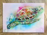 A3 Turtle Paint Sketch #2