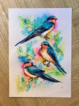 A3 Swallow Paint Sketch #2