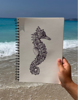 Seahorse Sketch #1