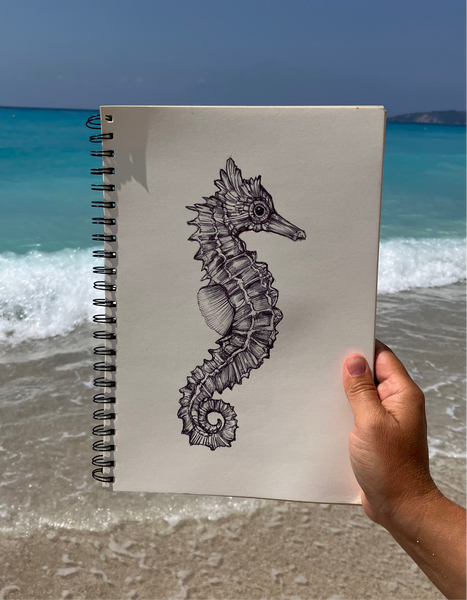 Seahorse Sketch #1