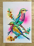 A3 Indian Roller Paint Sketch #1