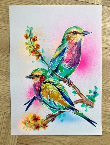 A3 Indian Roller Paint Sketch #1
