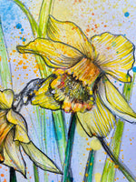 Daffodils #2