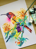 A3 Sunbird Paint Sketch #1