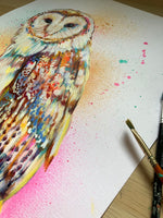 A3 Barn Owl Paint Sketch #1